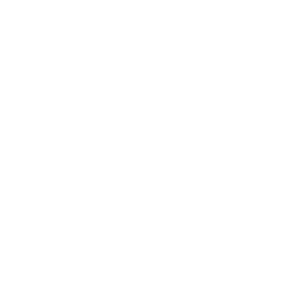 XO Fash logo