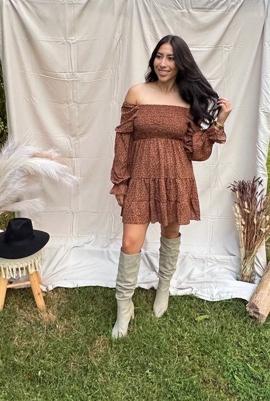 Smocked Fall Sleeve Dress